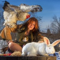 степа и все все все :: игорь степа и все все все :: игорь