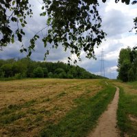 * * * :: Андрей Лукьянов