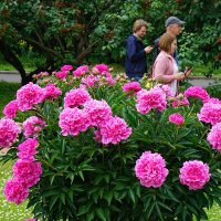 В ботаническом саду :: Ольга 