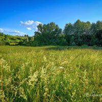 "Солнечное лето в Юраково"© :: Владимир Макаров "Солнечное лето в Юраково"© :: Владимир Макаров