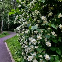 Мимо красоты- не пройти! :: Любовь 