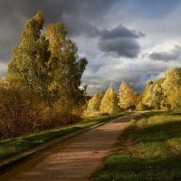 Измайловский парк :: Алексей Павлов Измайловский парк :: Алексей Павлов