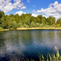 Летнее утро :: Alexandеr P