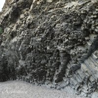 Природа Крыма :: Amazing Cosmea