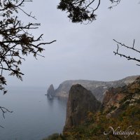 Природа Крыма :: Amazing Cosmea