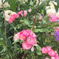 ,,, :: Сергей Тимоновский