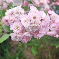 ,,, :: Сергей Тимоновский ,,, :: Сергей Тимоновский