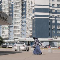 Хамелеон :: Лютый Дровосек