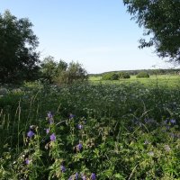 Лето :: Антонина Гугаева Лето :: Антонина Гугаева