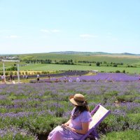 лавандовое настроение :: Светлана Баталий