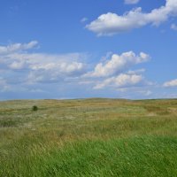 В степи. :: Виктор 