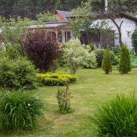 мой сад :: Владимир Зеленцов мой сад :: Владимир Зеленцов