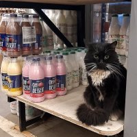 *** :: Владимир Захаров