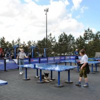 "Седина в бороду .." :: AleksSPb Лесниченко