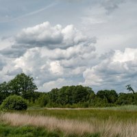 *** :: Николай Гирш *** :: Николай Гирш