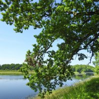 ***** :: ИННА ПОРОХОВА ***** :: ИННА ПОРОХОВА