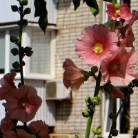 Городской этюд :: Татьяна Смоляниченко Городской этюд :: Татьяна Смоляниченко