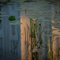 Отражения. Утро на Покрова на Нерли :: Вячеслав Владимирович Отражения. Утро на Покрова на Нерли :: Вячеслав Владимирович