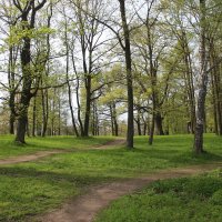 Стрельна. Орловский парк :: Наталья Герасимова