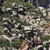 Алтай :: Александр Чибисов