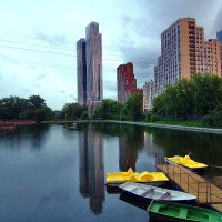 Серия Вид с моста :: Тамара Вебер