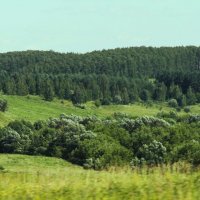 БЕСКРАЙНИЕ ПРОСТОРЫ РОССИЙСКОГО ЛЕСА :: Валентина БЕСКРАЙНИЕ ПРОСТОРЫ РОССИЙСКОГО ЛЕСА :: Валентина