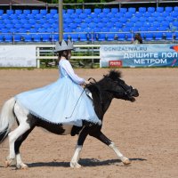 Международная конная выставка "Иппосфера" 2025 :: Николай 