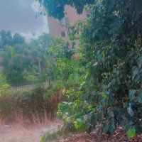 13  ОПЕН (196) :: OPEN WAYS ALL