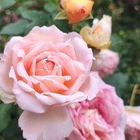 ,,, :: Сергей Тимоновский