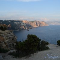 Природа Крыма :: Amazing Cosmea