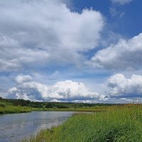 Река Угра :: Pippa 