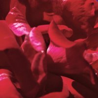 Роза :: Юрий Гайворонскiий