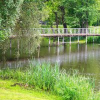 Дождь у пруда :: Татьяна Тюменка