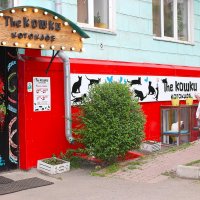 Котокафе :: Василий 