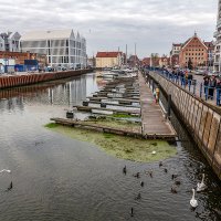 Гданьск :: Дмитрий 