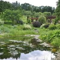 Патриарший ботанический сад :: Марина Виноградова Патриарший ботанический сад :: Марина Виноградова