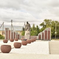 Н.Рогачик. :: petyxov петухов