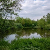 *** :: Николай Гирш *** :: Николай Гирш