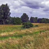 **** :: Андроник Александр **** :: Андроник Александр