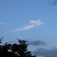 *** :: Павленко Михаил 