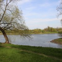 Стрельна. Орловский парк :: Наталья Герасимова