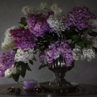 Сиреневое настроение :: Olenka Сиреневое настроение :: Olenka