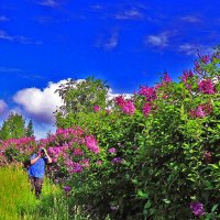 Июнь...Фотосъемка на краю сиревой аллеи! :: Владимир 