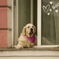 Бася. :: Александр 