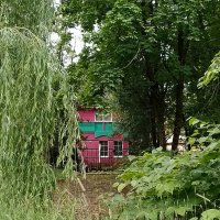 *** :: Валентина Береснева