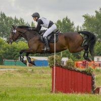 Кросс :: Татьяна Титова Кросс :: Татьяна Титова