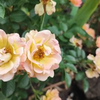 ,,, :: Сергей Тимоновский