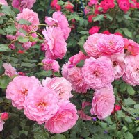 ,,, :: Сергей Тимоновский