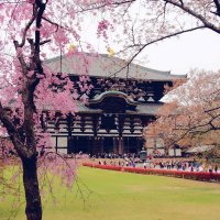 Храм Тодай-дзи Япония :: Civetta ***