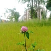 rktdth :: Ольга Конькова